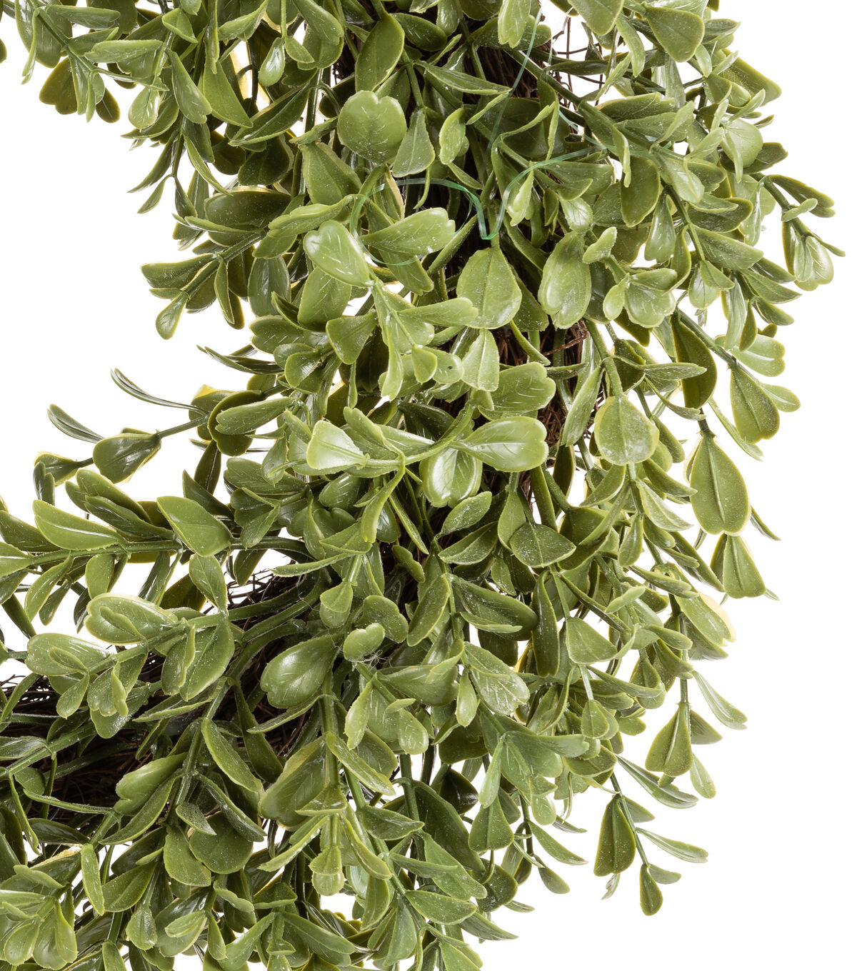 13.5'' Boxwood Wreath by Bloom Room