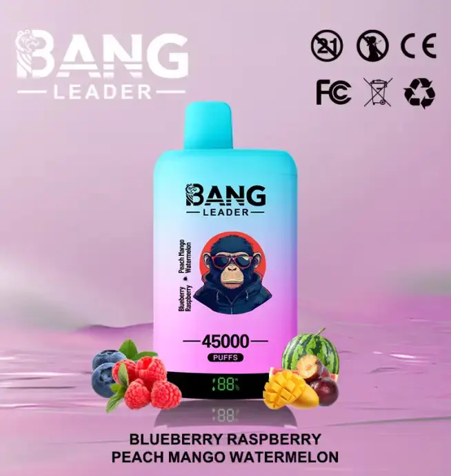 BANG LEADER 45K (10pcs) - MYEU VAPES