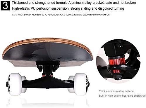 Skate Board in Maple Wood Skull Skateboard Complete 31x7.8 Inch Trick Cruiser Skate Boards Beginners Longboard with Maple Deck Adult