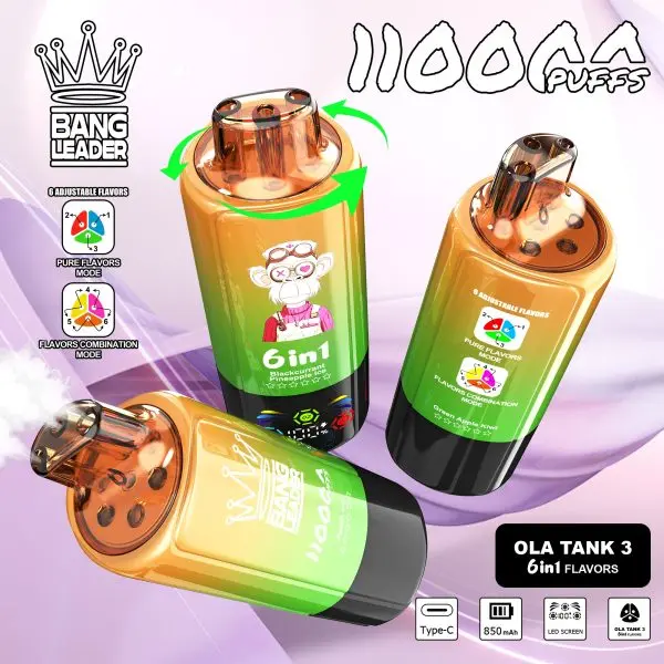 BANG LEADER 110K 6 in 1 (10pcs) - MYEU VAPES