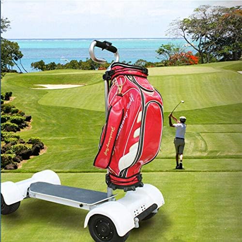 Eswing 1600w/60v Electric Off Road 4 Wheel Golf Cart Scooter Vehicle Worldwide Shipping