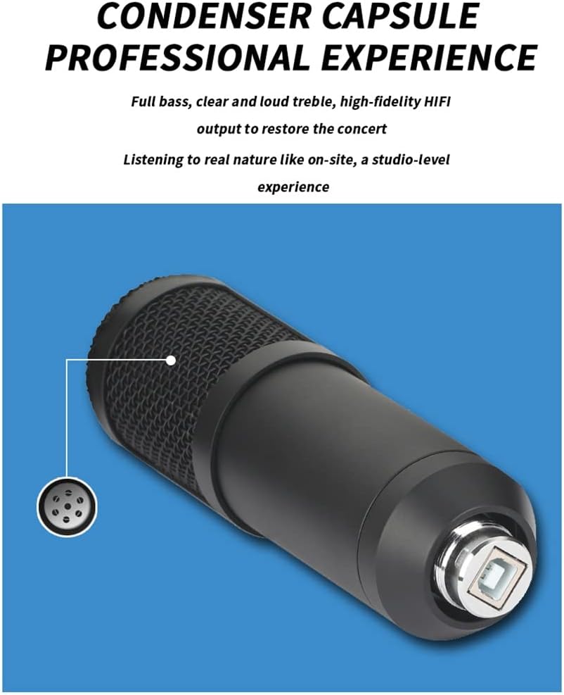 BM800 USB Microphone Computer Game K Song Recording webcast Notebook Sound Card Capacitor Reverb Microphone Set