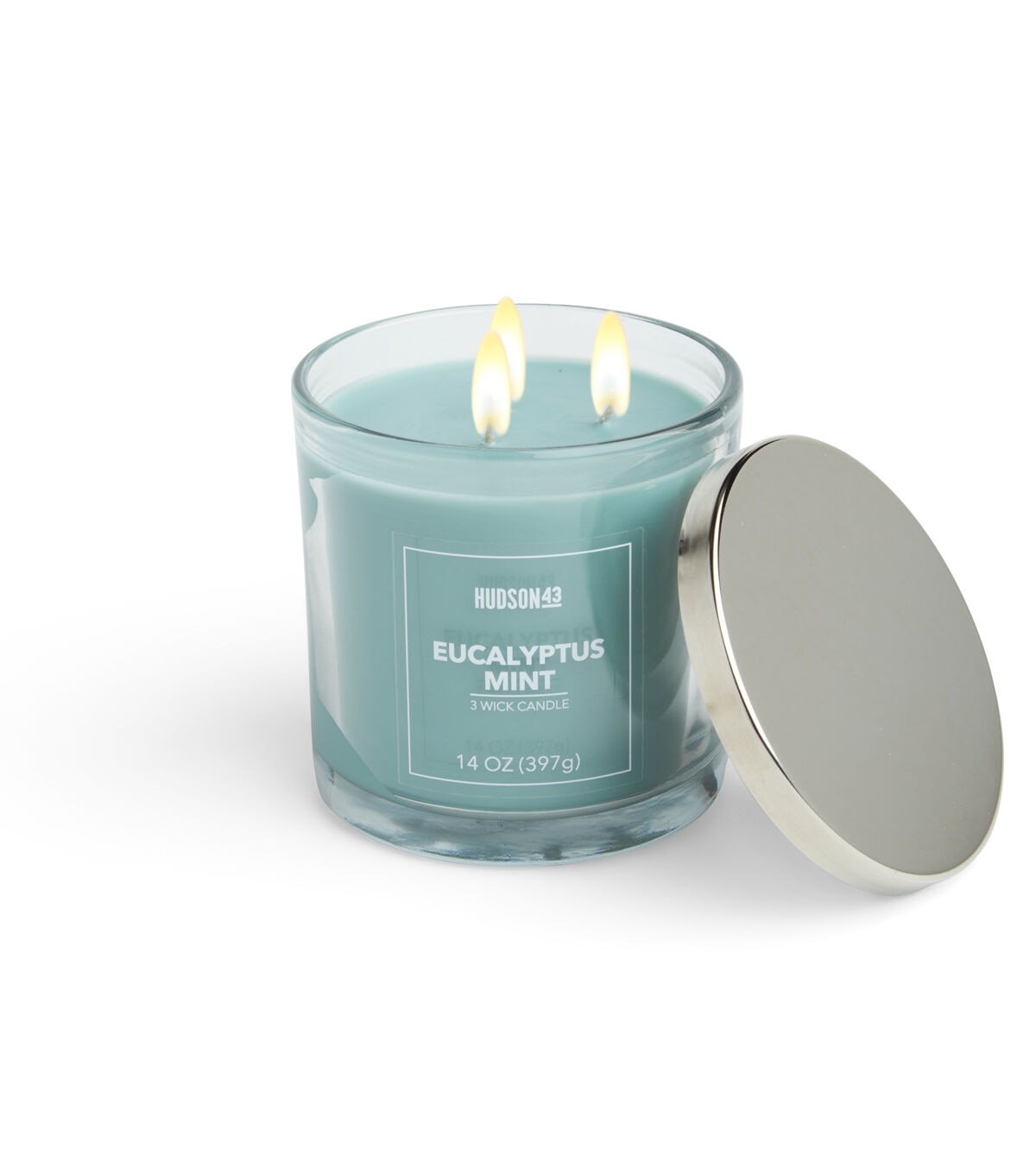 14oz Eucalyptus Mint Scented Jar Candle by Hudson 43
