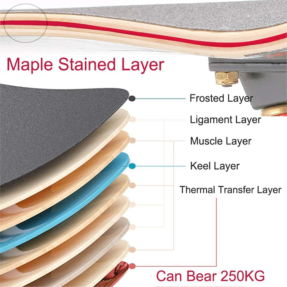 Skateboards 31 x 8 inch Complete Skateboard for Beginners 7 Layer Canadian Maple Double Kick Deck Concave Cruiser Trick Skateboard for Kids and Adults with All-in-One Skate T-Tool