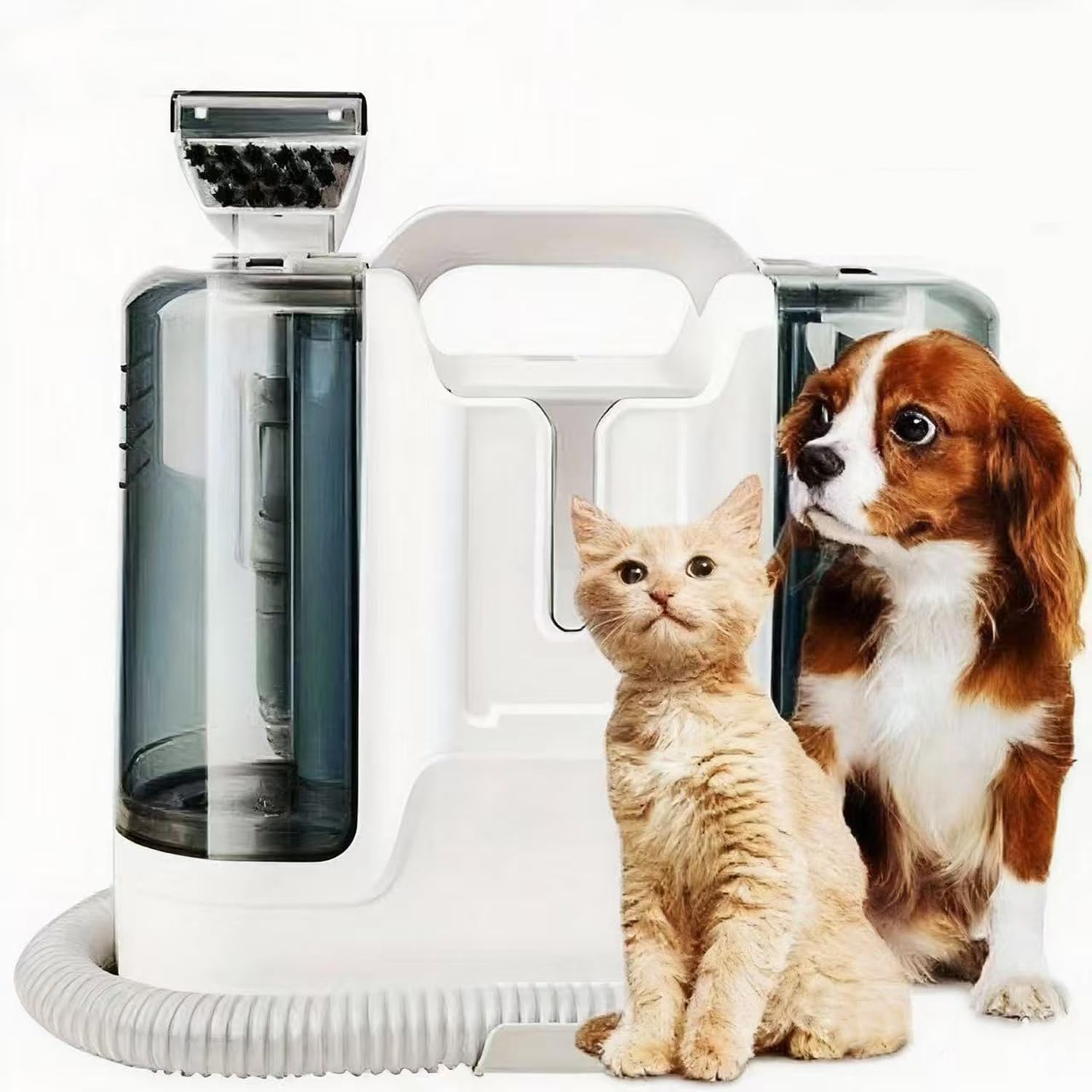 CHEEMHOM Pet Portable Carpet and Upholstery Deep Cleaner,12Kpa Deep Cleaning with Pet Mess Tool, Stain & Odor Remover, Perfect for Car Interiors