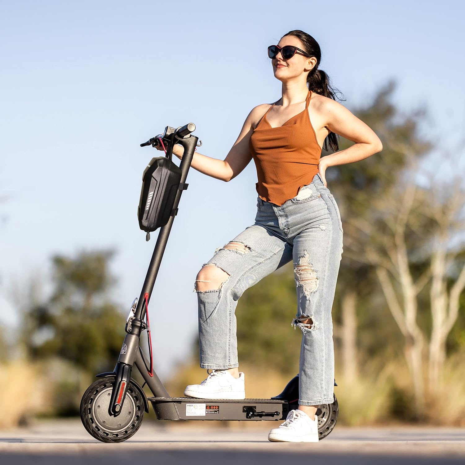 Hiboy S2 Pro/X300 Electric Scooter, 500W Motor, 10