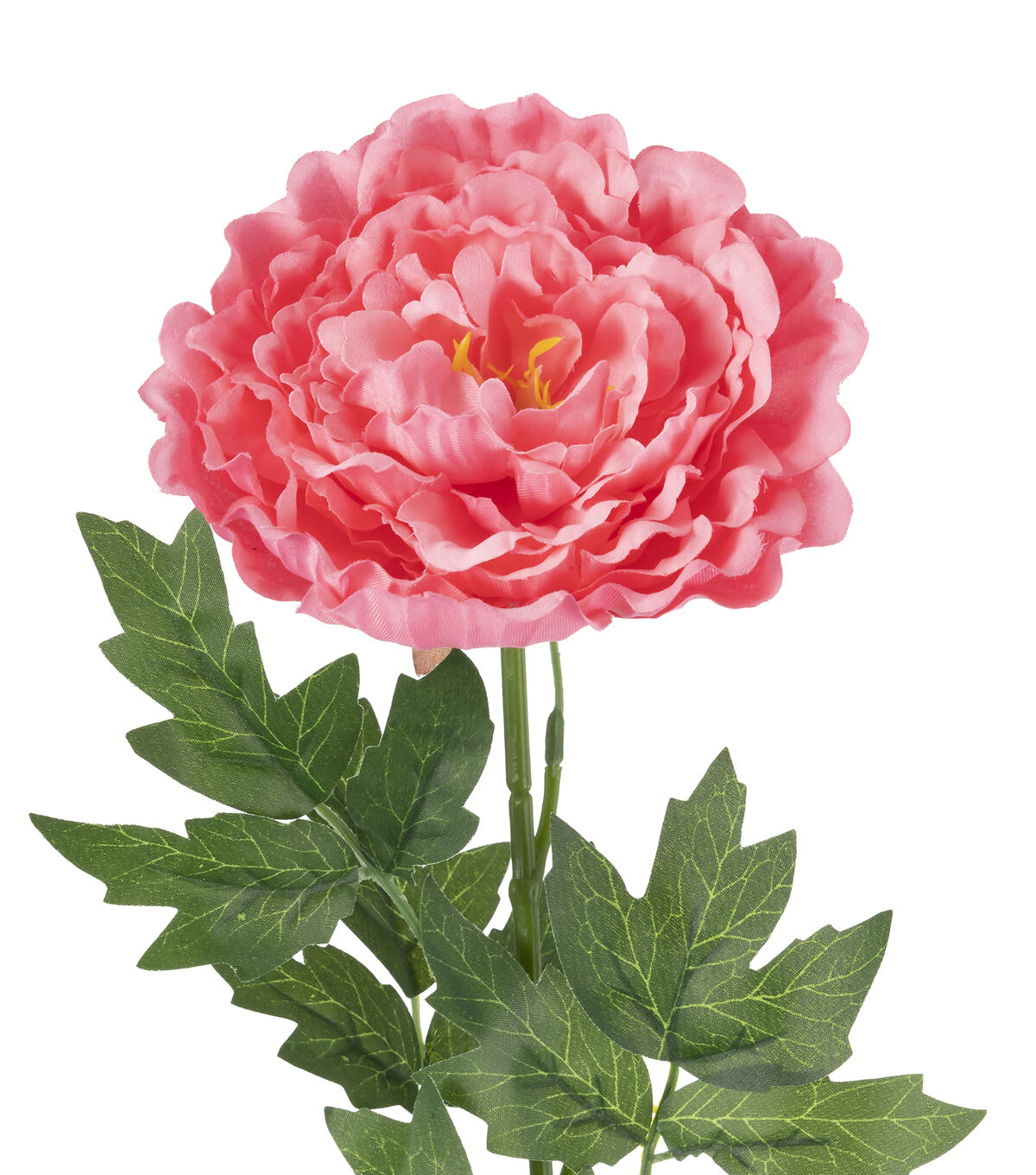 30 Light Pink Peony Stem by Bloom Room