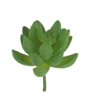 Flora Bunda 5 Little Gem Artificial Succulent Plant 12ct