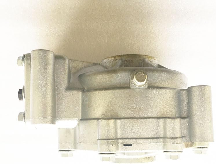 Renli 500 Dune Buggy Go Kart Rear Differential Axle Gear Box for 22 Teeth CV Axle Adrenaline