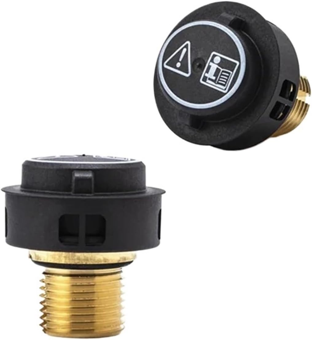 QDBJCHPV Compatible for Kach，Compatible for Kärcher，SG4/4 Steam Cleaner Parts CTK10 Brass Safety Valve SC2/SC4/SC5/SV1802(for SC4 SC5)