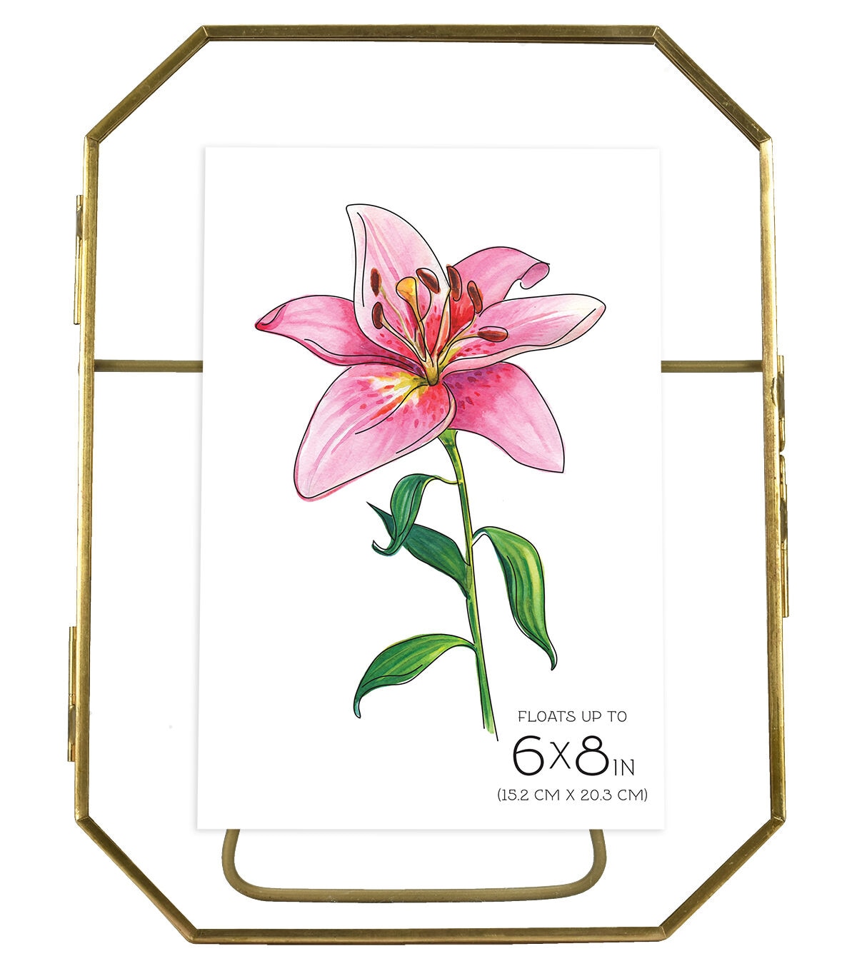 MCS 6 x 8 Brass Octagonal Pressed Glass Floating Frame