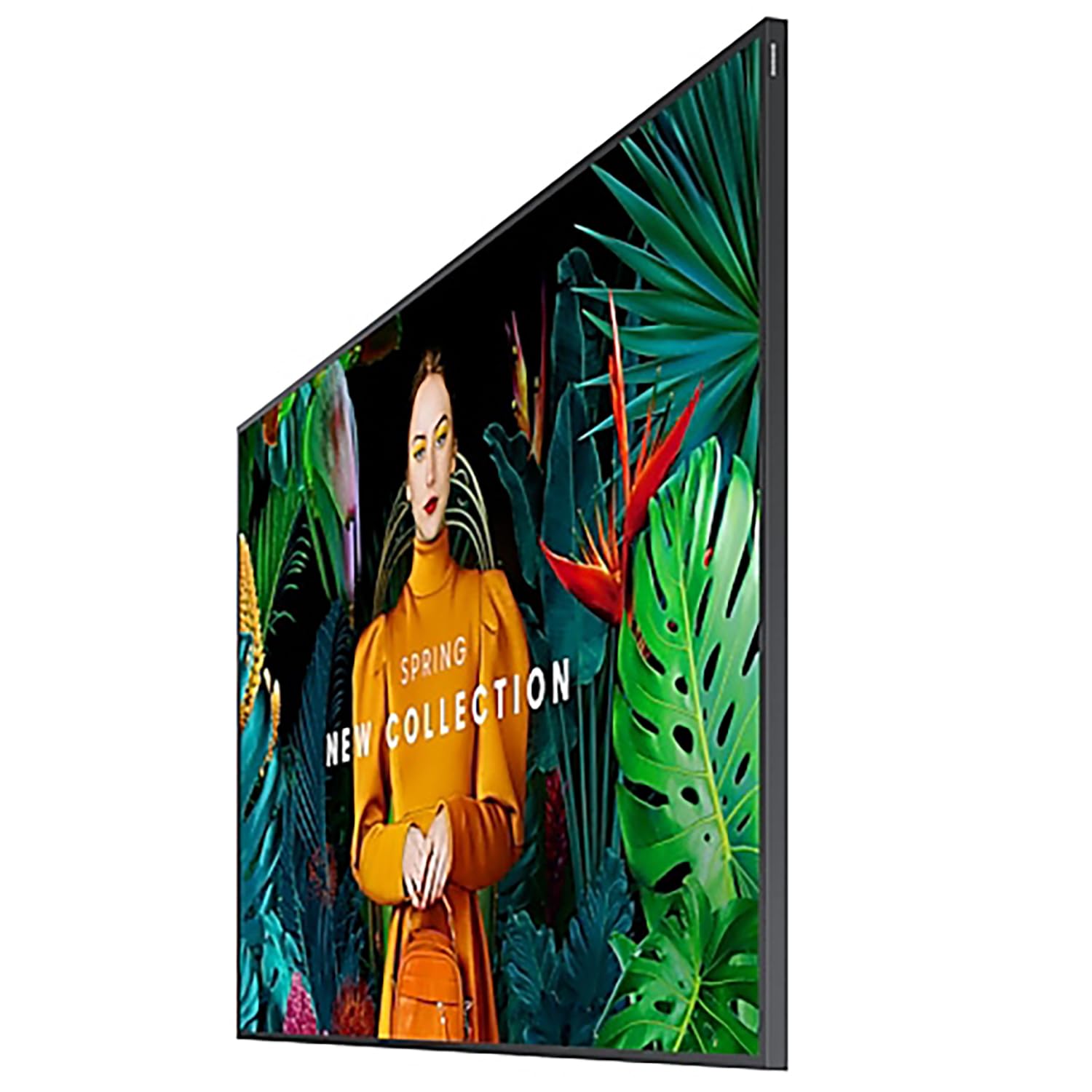 Samsung Dis Public 55 QM55C