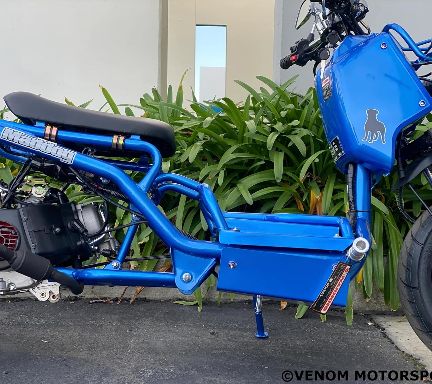 50cc Stretched Scooter Generation 1, Automatic Transmission, PMZ50-19, Wide 205/30-12 Rear Tire, Retro Speedometer, Gas Gauge, Street Legal Moped for Adults, Powerful 49cc GY6 Engine