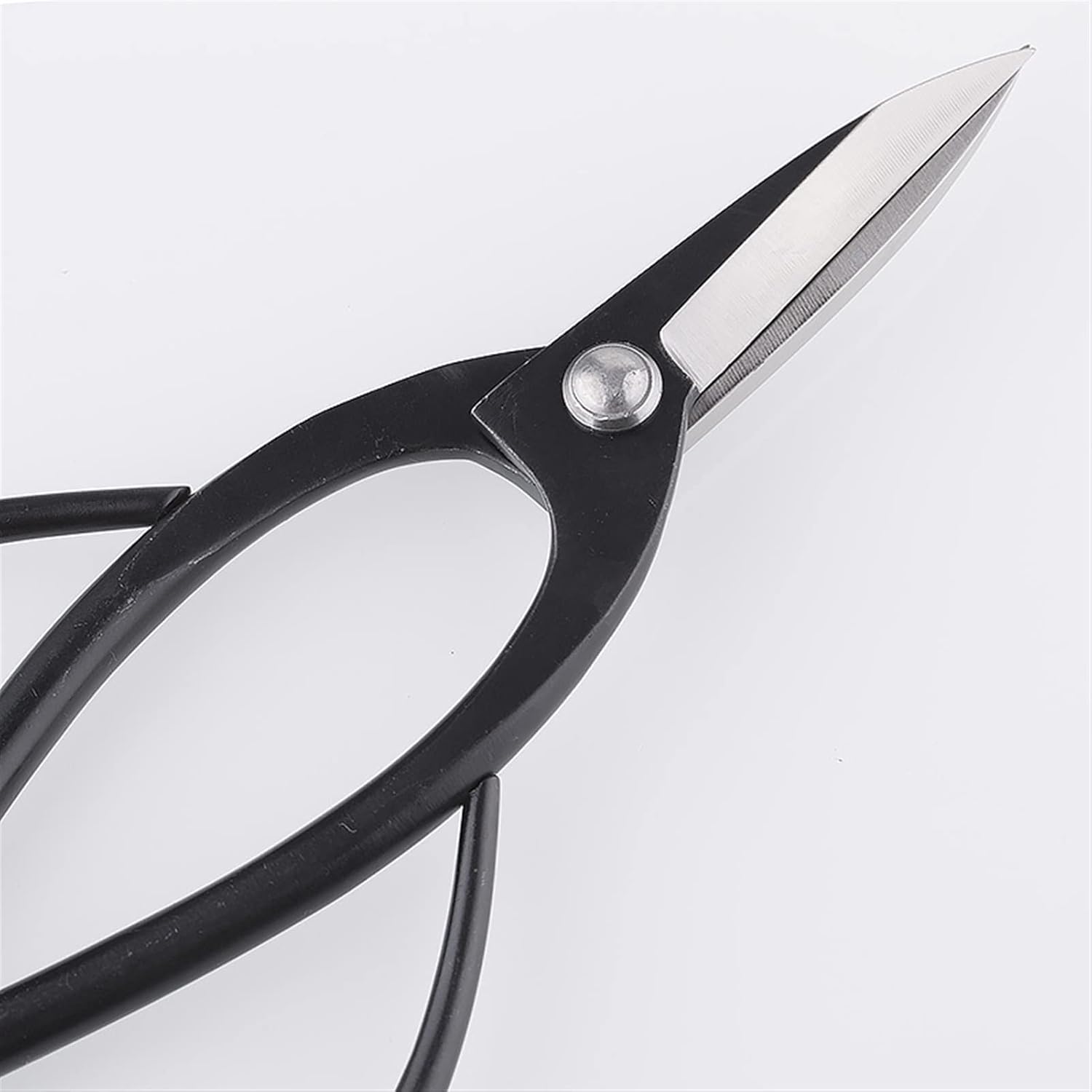 Floral Shears Strong Pruner 190 mm Root Pruning Scissors Standard Quality Level Carbon Steel Bonsai Tools Made by TianBonsai Company