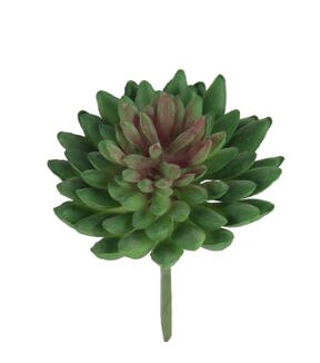 Flora Bunda 1 Pink Artificial Bean Succunlent Plants 12ct