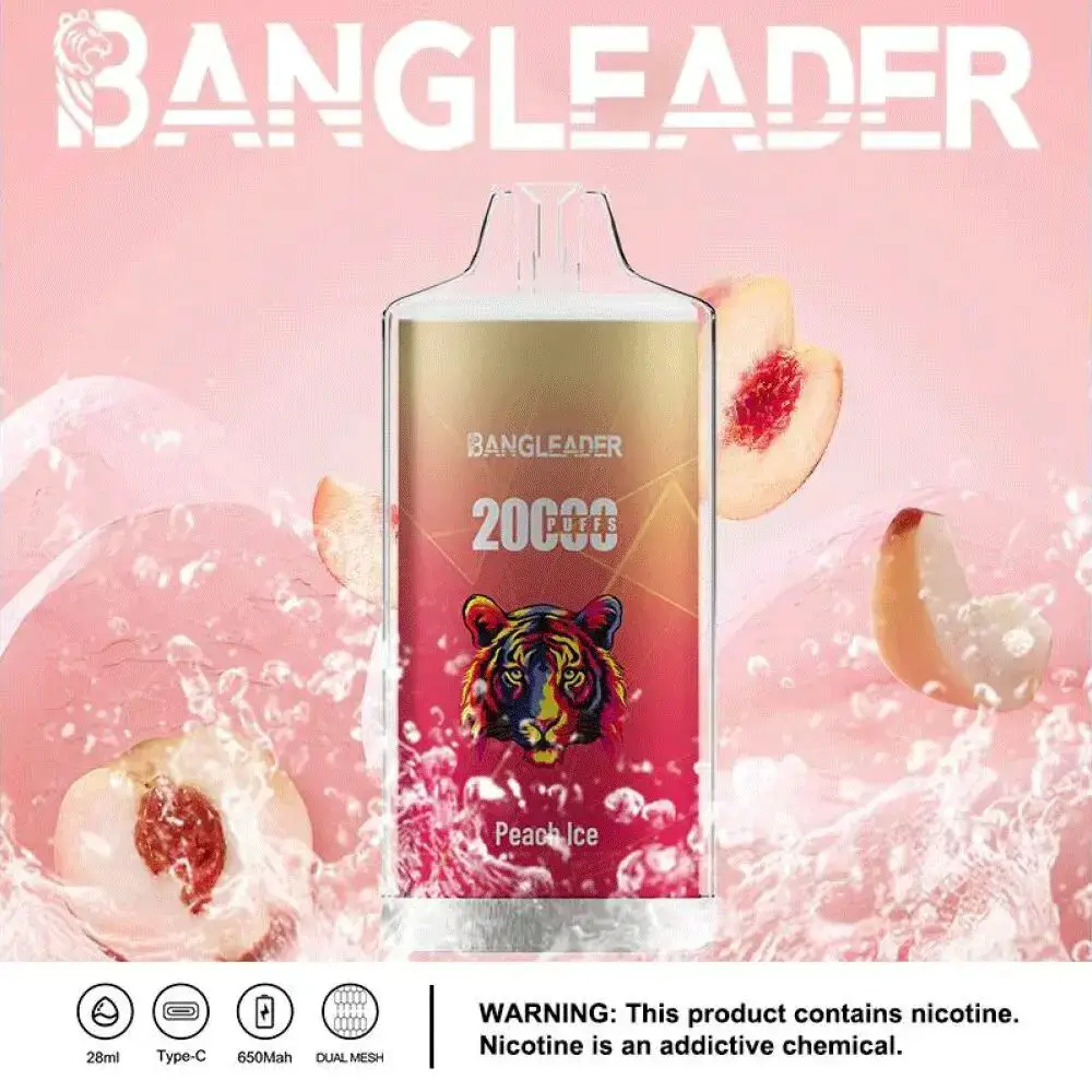 BANG LEADER 20K (10pcs) - MYEU VAPES