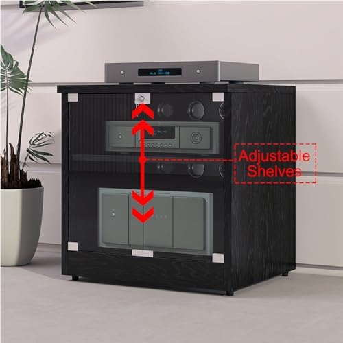 Heavy Duty 2-Tier Stereo Cabinet - Large AV Media Stand