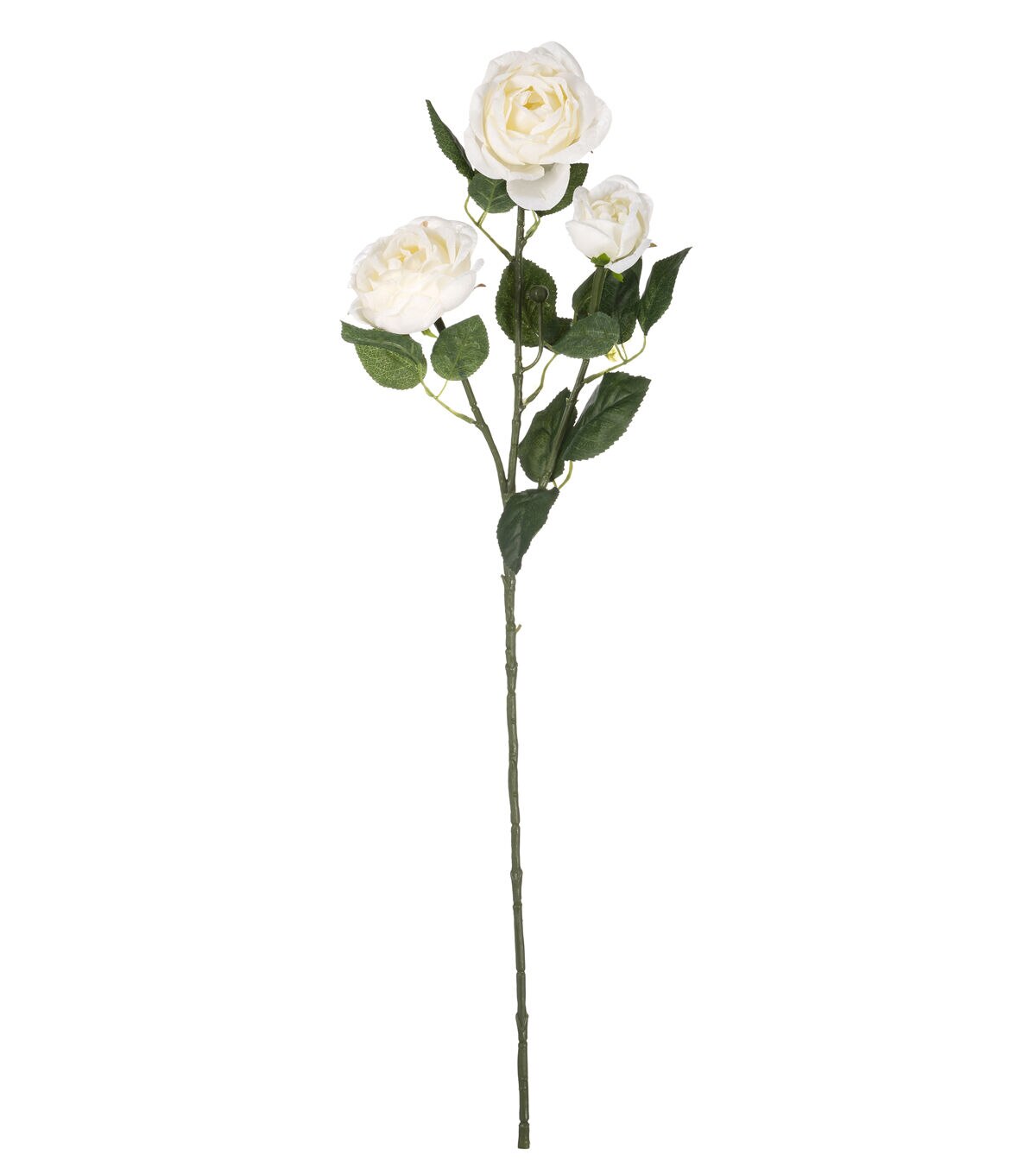 31 Cream Cabbage Rose Stem by Bloom Room