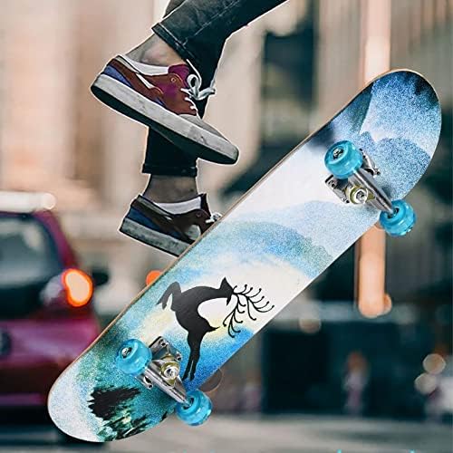 Skateboard 31 Inch Skateboard Wall Mount Suitable for Teenagers and Adults with LED Wheels