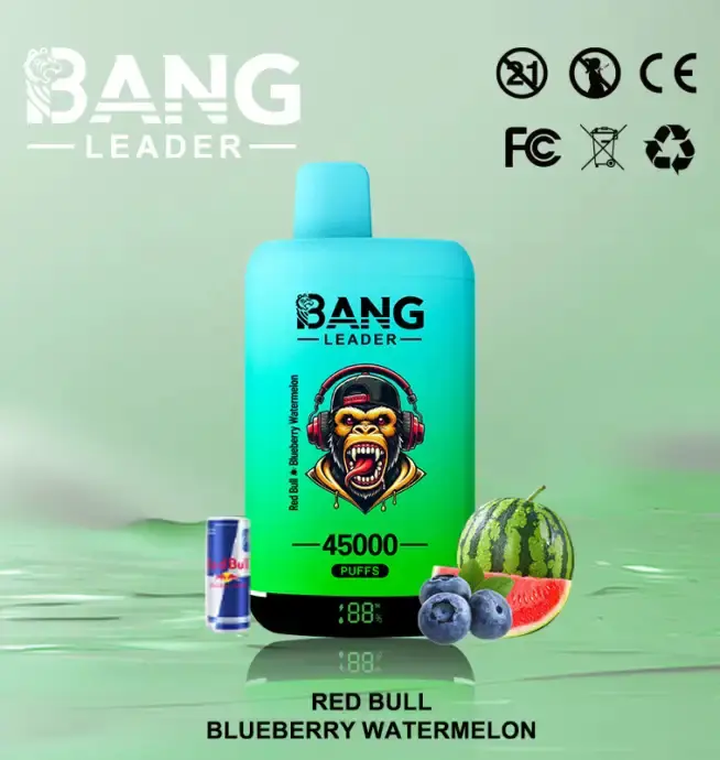 BANG LEADER 45K (10pcs) - MYEU VAPES
