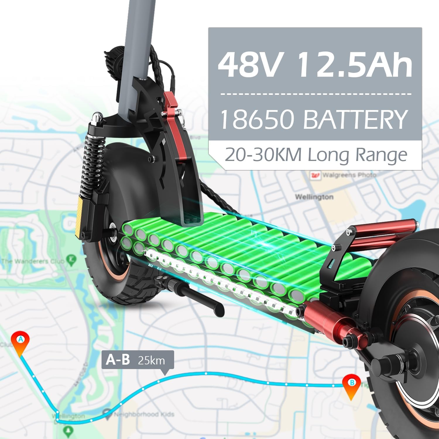 Electric Scooter Adults, 800W Motorized Eletric Kick Scooters, 10
