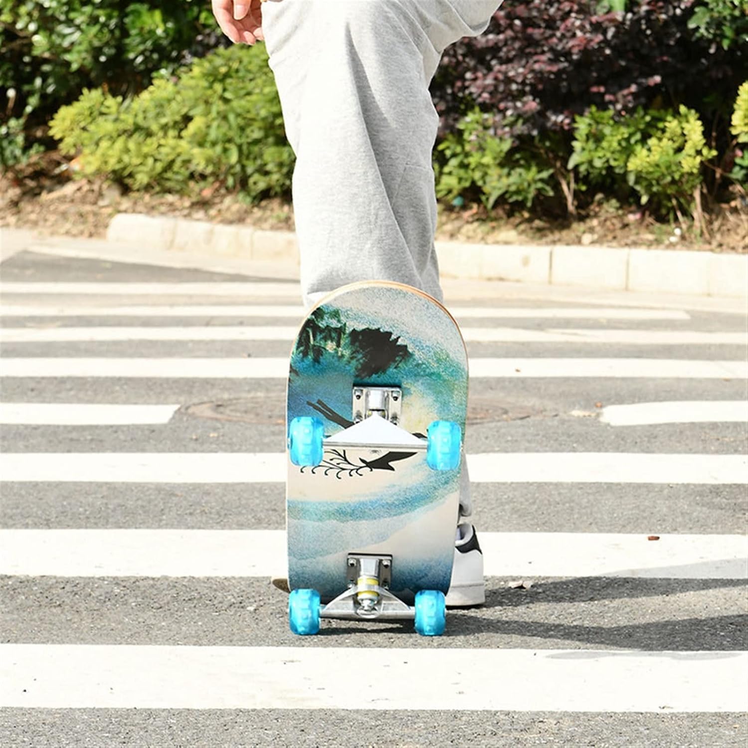 Skateboard 31 Inch Skateboard Wall Mount Suitable for Teenagers and Adults with LED Wheels