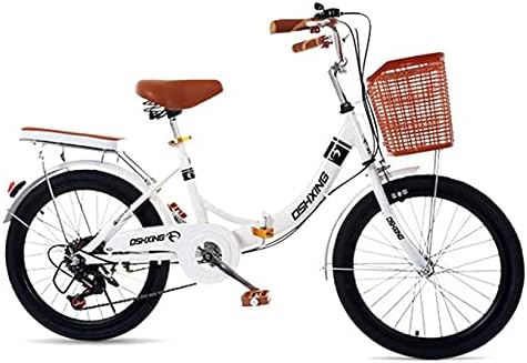 20 Inch Folding City Bike, Outdoor Bike, Single Speed, Steel Frame, Mudguard, Rear Frame
