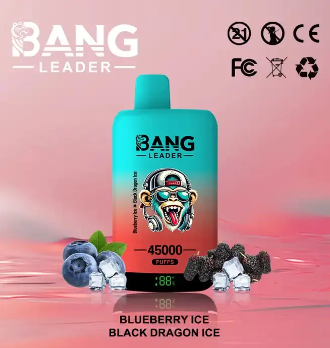 BANG LEADER 45K (10pcs) - MYEU VAPES