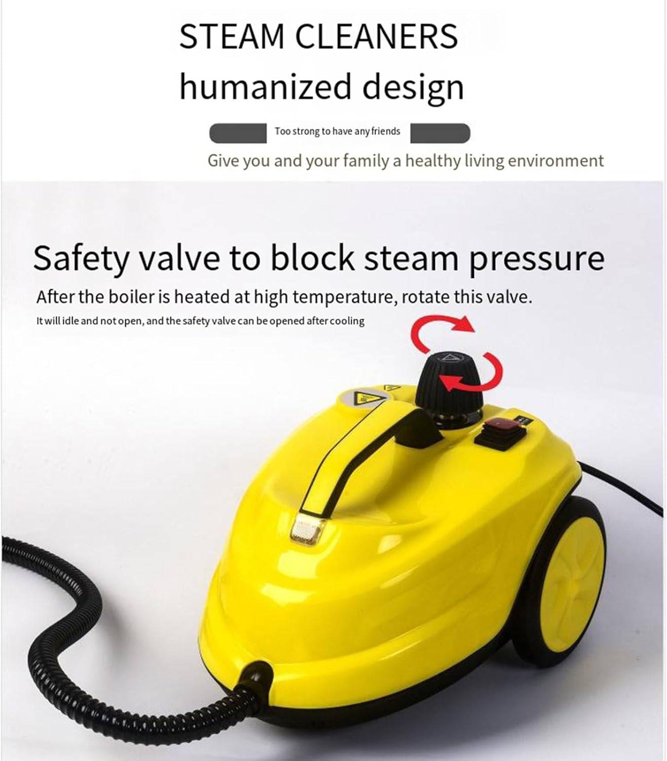 GAOQLX-RSDK Multifunctional Steam Cleaner 2000W 2L High Temperature Pressurized Car Cleaning Machine Household Cleaning Range Hood