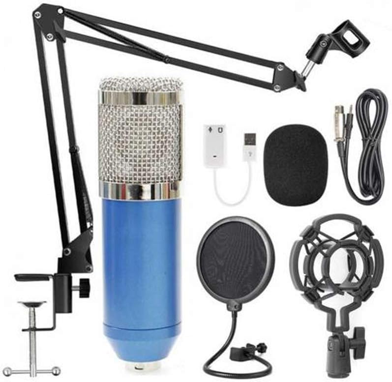 Professional Capacitive Microphone Vocal Recording Wired Mic for Computer