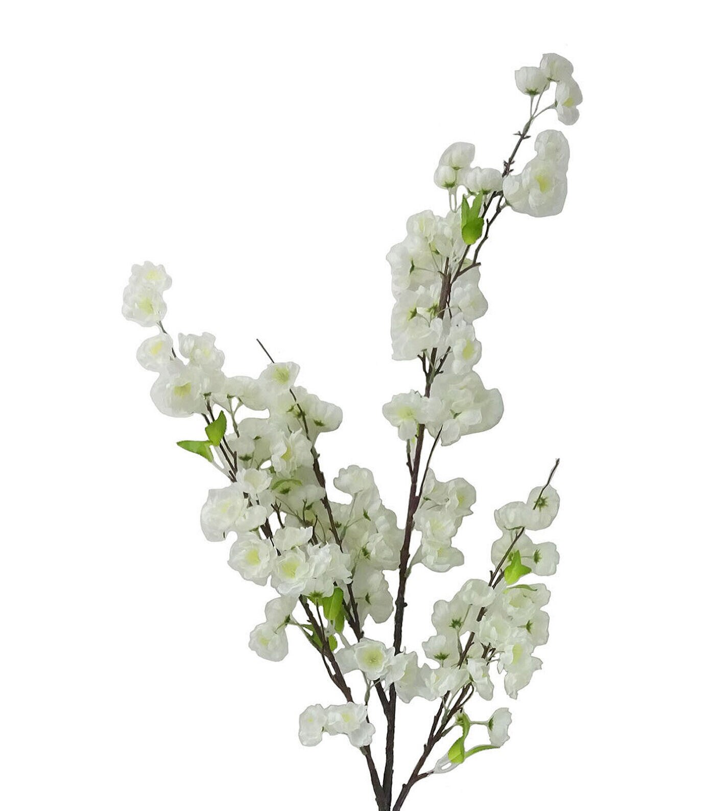 49 White Cherry Blossom Stem by Bloom Room