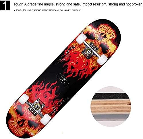 Skate Board in Maple Wood Skull Skateboard Complete 31x7.8 Inch Trick Cruiser Skate Boards Beginners Longboard with Maple Deck Adult