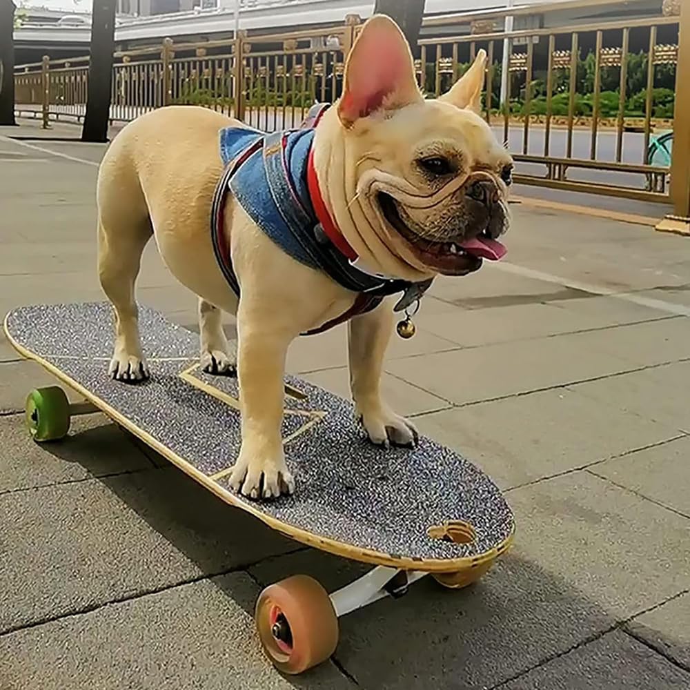 Pet Surfing Skateboard, Dog Skateboard with Surf Rack, Bamboo & Wood Dog Special Scooter, Colorful PU Wheel, Suitable for Bulldogs & More (62x21cm)
