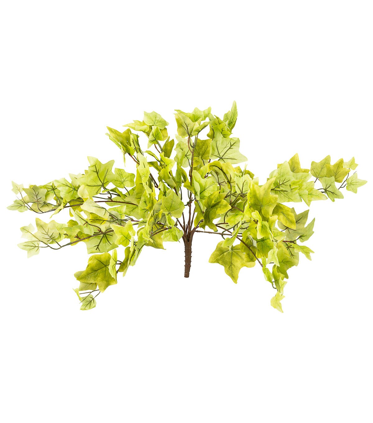 20 Green Hanging Puff Ivy Bush by Bloom Room