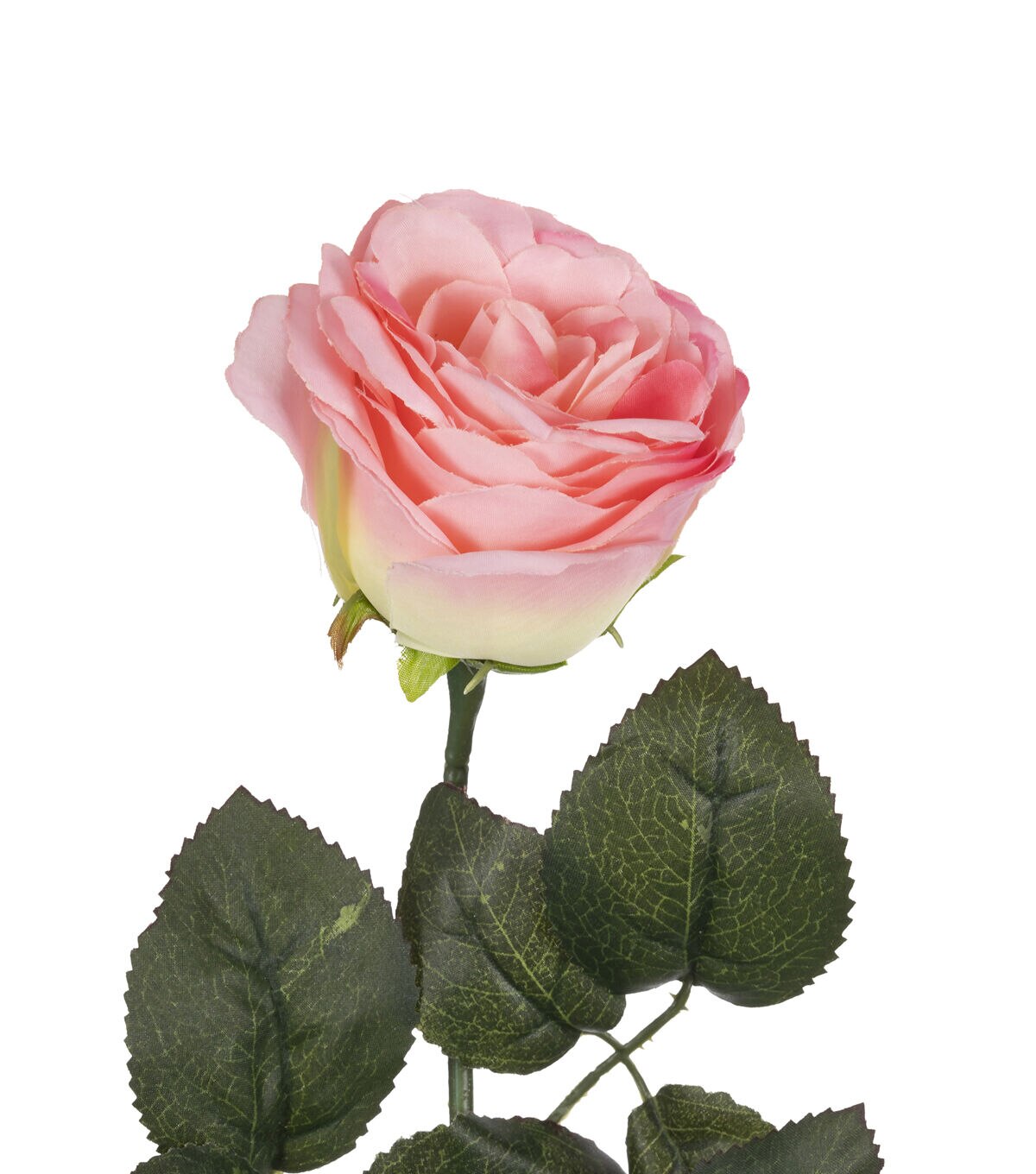 29.5 Pink Open Rose Stem by Bloom Room