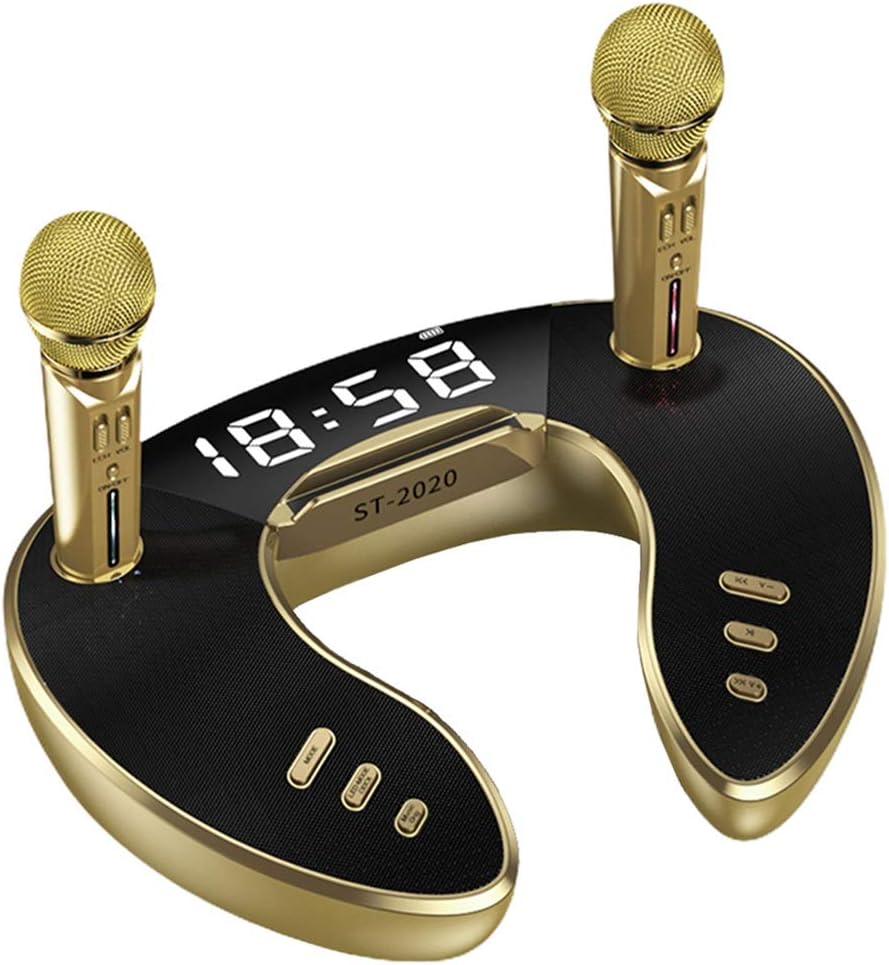 30W 5.0 Speaker with Two Microphone Mobile Stereo Party Super Bass(Gray)