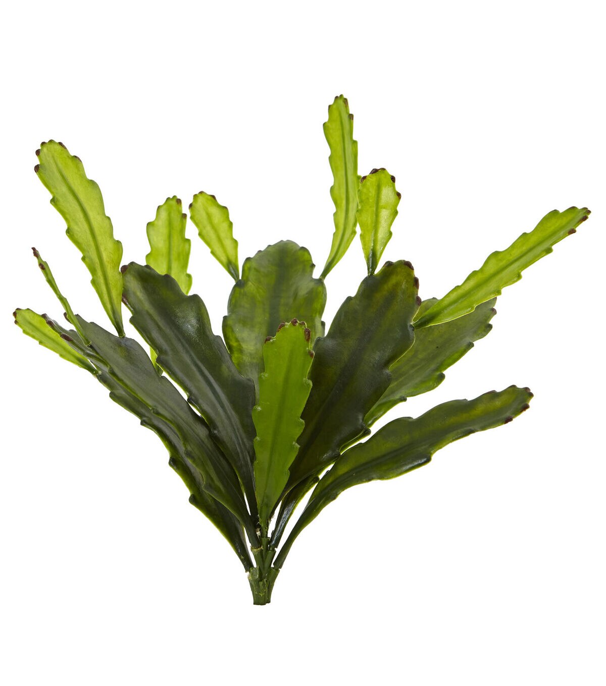 Nearly Natural 14 Atrificial Epiphyllum Cactus Plants 4ct