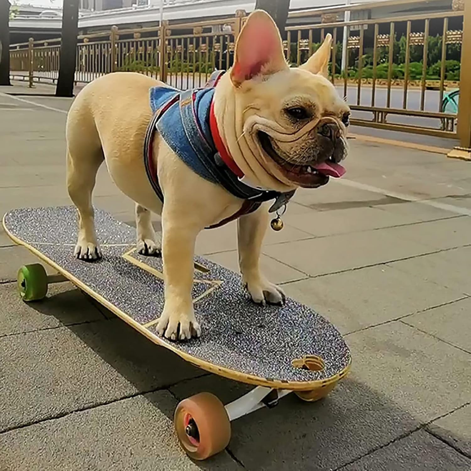 Dogs Skateboard with Surf Stand, Colorful PU Wheels, 5 Ply Bamboo Deck, ABEC-9 Bearing, U-Shaped Foot Socket, Magnetic Coil Flash Wheel, for English-French Bulldog (62X21cm)