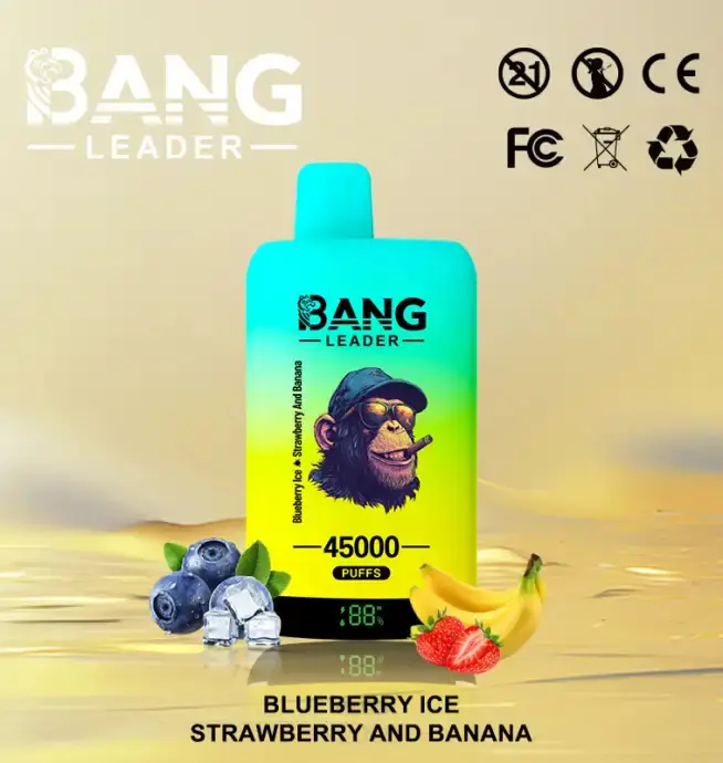 BANG LEADER 45K (10pcs) - MYEU VAPES