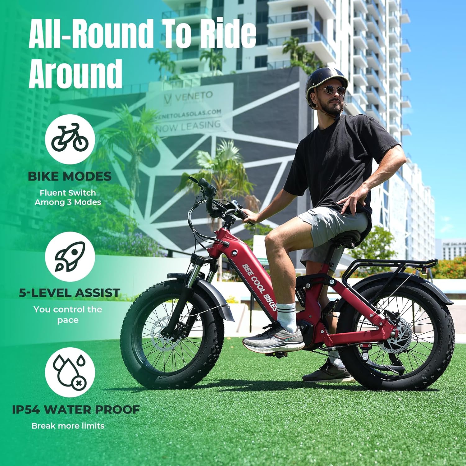 BEECOOL Electric Bike for Adults, 750W Peak, Up to 80 Miles 28MPH Electric Mountain Bike, 20