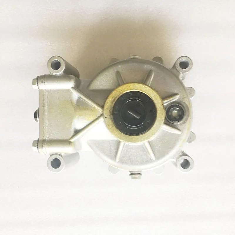 Renli 500 Dune Buggy Go Kart Rear Differential Axle Gear Box for 22 Teeth CV Axle Adrenaline