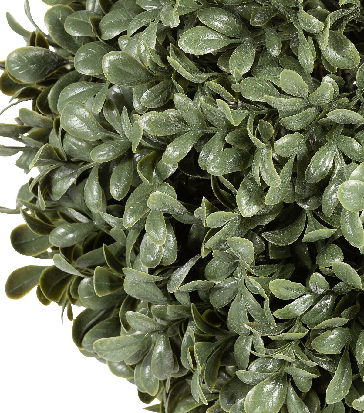 10 Boxwood Ball by Bloom Room