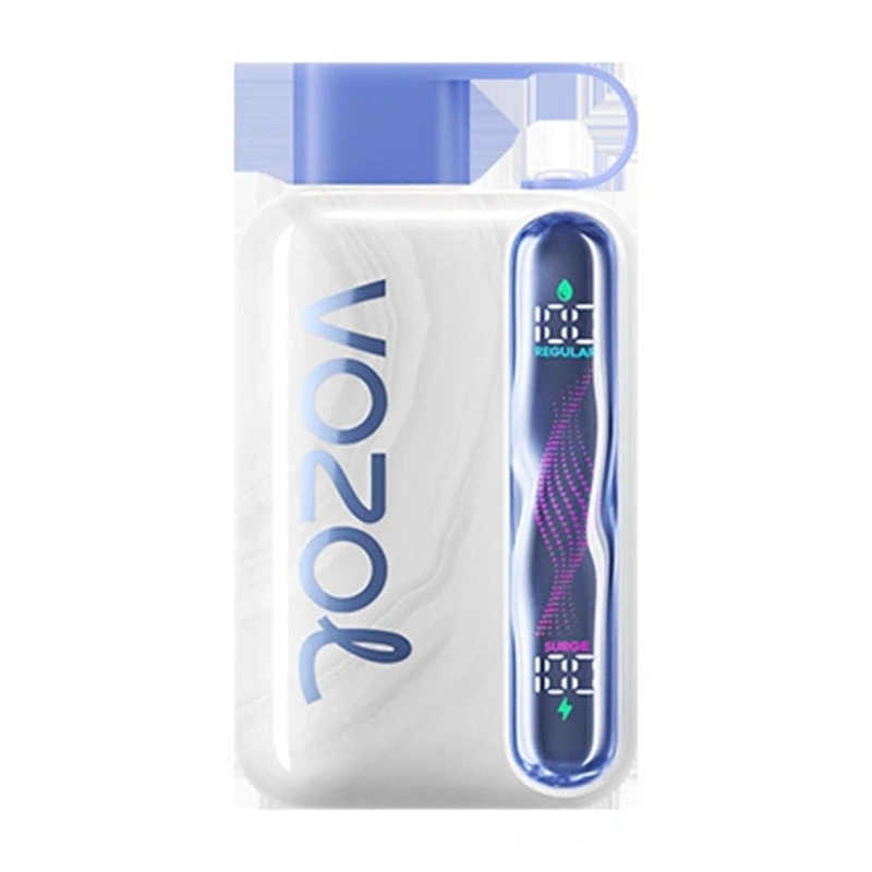 VOZOL VISTA 40K (10pcs) - MYEU VAPES