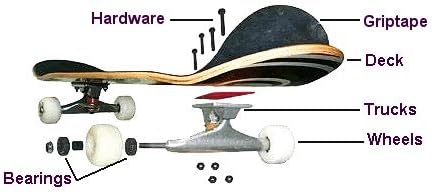 Pylon| Assembled as Complete Decks | Different Model and Sizes to Chose! | Ride in The Streets Like a Pro!