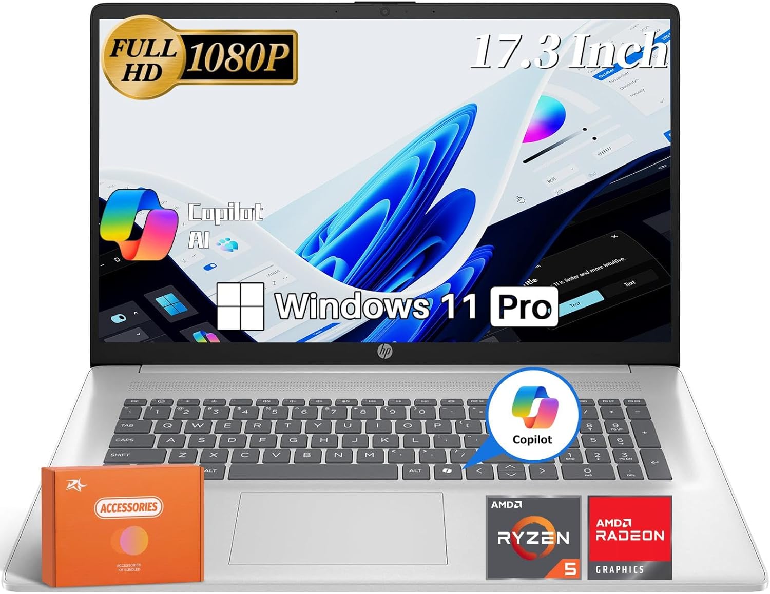 HP Professional 2025 17.3