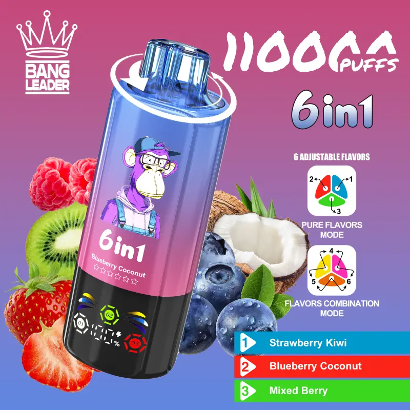 BANG LEADER 110K 6 in 1 (10pcs) - MYEU VAPES