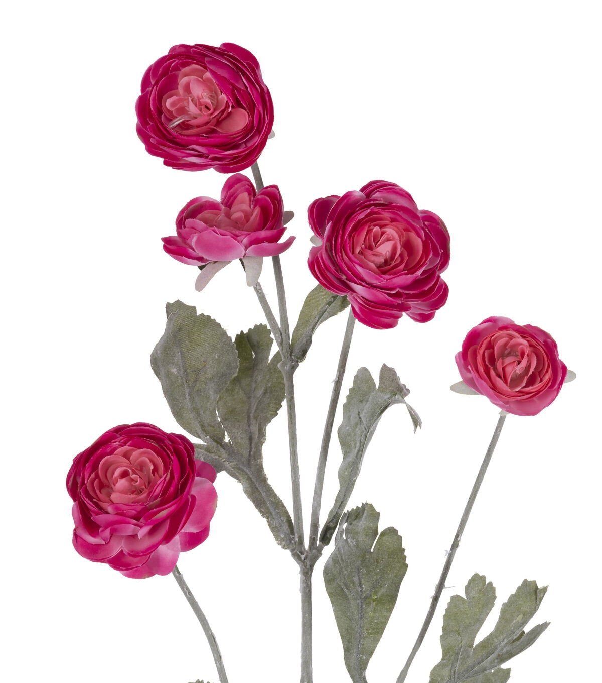 27 Light Fuchsia Ranunculus Stem by Bloom Room