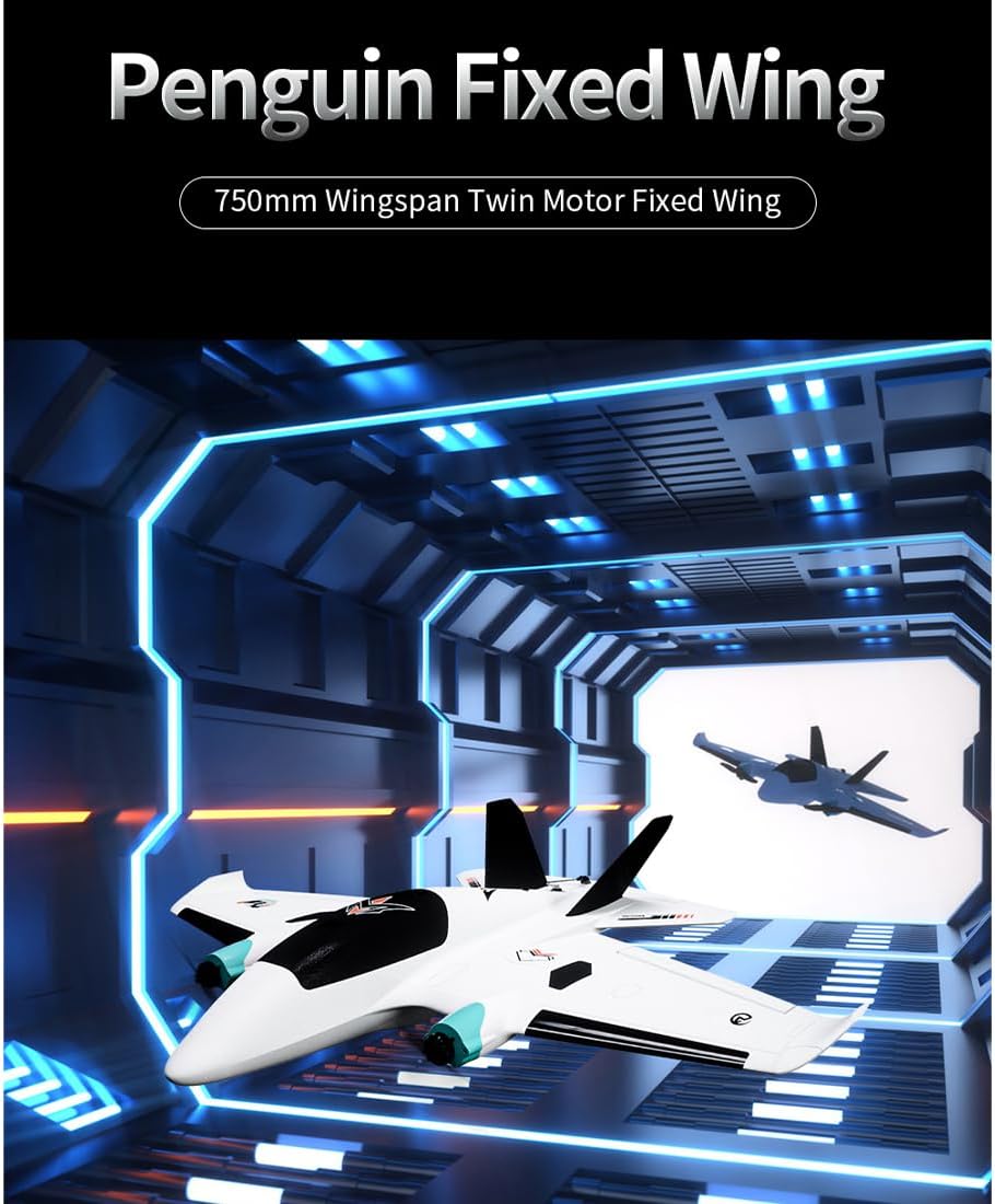RC Fixed Wing Plane, Penguine 750mm Twin-Engine FPV Throw Launch Quick-Assembly Aircraft with RTH Long Range Platform and F405 Flight Controller, Easy to Fly for Adult Youth