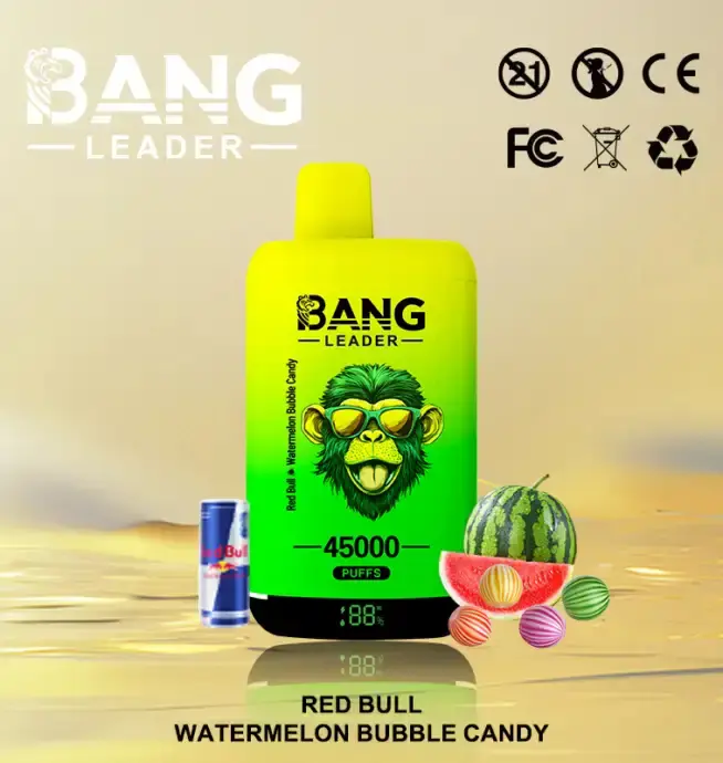 BANG LEADER 45K (10pcs) - MYEU VAPES