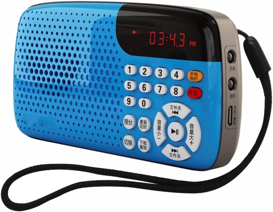 EWUROI Portable Radio Mini Stereo LED Display Auditorium Large Speakers for Old Man Morning Exercise